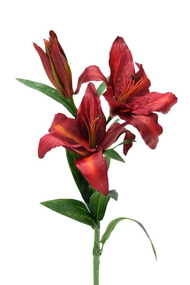 Tiger Lily Red at Online8 Furniture Auckland NZ