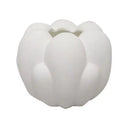 Tino Vessel H:16cm at Online8 Furniture Auckland NZ