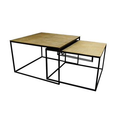 Tonto Coffee Table Set/2 at Online8 Furniture Auckland NZ