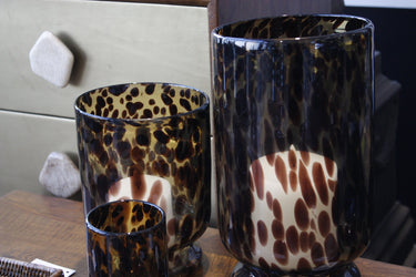 Tortoiseshell Hurricane -Large at Online8 Furniture Auckland NZ