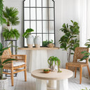 Two Handled Flower Vase at Online8 Furniture Auckland NZ
