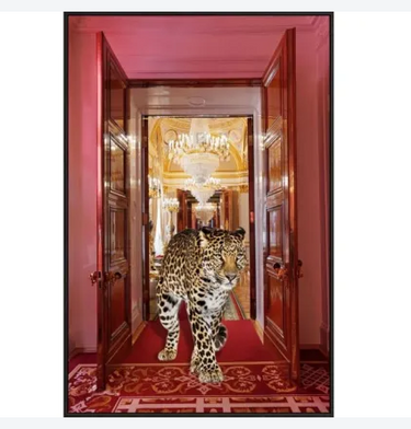 Upper Class Leopard Canvas Wall Art at Online8 Furniture Auckland NZ