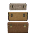 Back view of the Vintage Trunk Set of 3 showing antique brass hinges