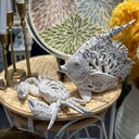White Coral Look Crab - Ornament at Online8 Furniture Auckland NZ