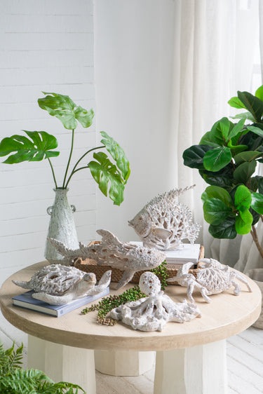 White Coral Look Crab - Ornament at Online8 Furniture Auckland NZ