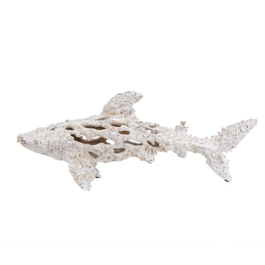 White Coral Look Shark - Ornament at Online8 Furniture Auckland NZ