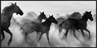 Wild Horses Canvas Wall Art at Online8 Furniture Auckland NZ