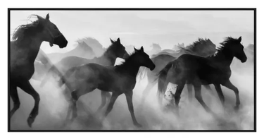 Wild Horses Canvas Wall Art at Online8 Furniture Auckland NZ