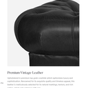 Windsor 2 Seater Leather Chesterfield Sofa at Online8 Furniture Auckland NZ