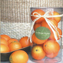 Artificial Oranges at Online8 Furniture Auckland NZ