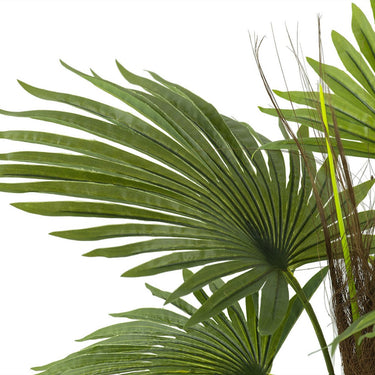 Artificial Plant - Fern at Online8 Furniture Auckland NZ