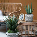 Basket Planters Set of 2 at Online8 Furniture Auckland NZ