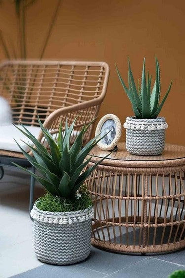 Basket Planters Set of 2 at Online8 Furniture Auckland NZ