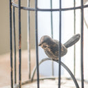 Bird in Cage Bookends - Pair at Online8 Furniture Auckland NZ