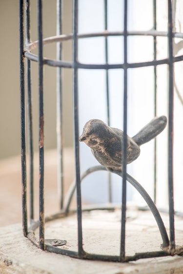 Bird in Cage Bookends - Pair at Online8 Furniture Auckland NZ