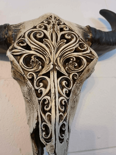 Carved Bulls Head | Skull Wall Decor - Resin at Online8 Furniture Auckland NZ