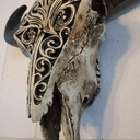 Carved Bulls Head | Skull Wall Decor - Resin at Online8 Furniture Auckland NZ