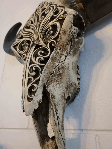 Carved Bulls Head | Skull Wall Decor - Resin at Online8 Furniture Auckland NZ