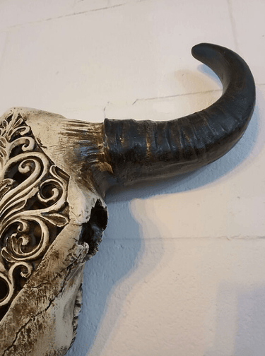 Carved Bulls Head | Skull Wall Decor - Resin at Online8 Furniture Auckland NZ