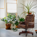 Columbus Vintage Leather Chesterfield Desk Chair at Online8 Furniture Auckland NZ