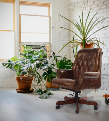 Columbus Vintage Leather Chesterfield Desk Chair at Online8 Furniture Auckland NZ