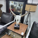 Decorative Resin Skull on Stand at Online8 Furniture Auckland NZ
