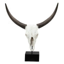 Decorative Resin Skull on Stand at Online8 Furniture Auckland NZ