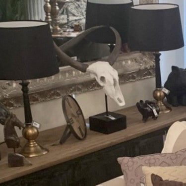 Decorative Resin Skull on Stand at Online8 Furniture Auckland NZ