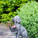 Dog Planter at Online8 Furniture Auckland NZ