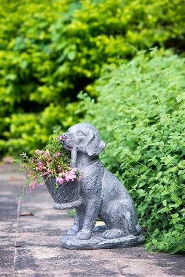 Dog Planter at Online8 Furniture Auckland NZ