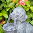 Dog Planter at Online8 Furniture Auckland NZ