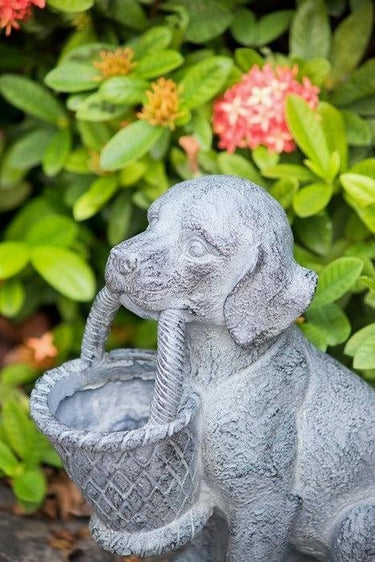 Dog Planter at Online8 Furniture Auckland NZ