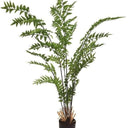 Maiden Fern - Faux Plant at Online8 Furniture Auckland NZ