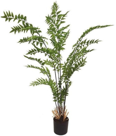 Maiden Fern - Faux Plant at Online8 Furniture Auckland NZ