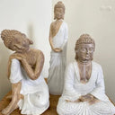 Namaste Monk at Online8 Furniture Auckland NZ