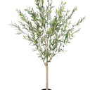 Olive Faux Tree Potted 180cm at Online8 Furniture Auckland NZ