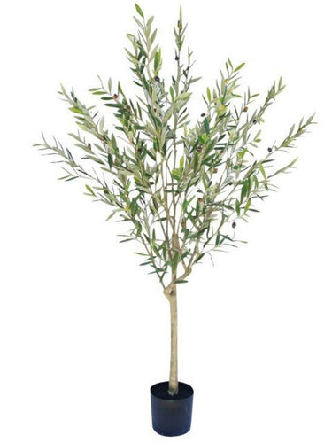 Olive Faux Tree Potted 180cm at Online8 Furniture Auckland NZ