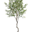 Olive Faux Tree Potted 2.4m at Online8 Furniture Auckland NZ