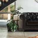 Oxford Chesterfield Aged Leather 3 Seater Sofa - Belon Black at Online8 Furniture Auckland NZ
