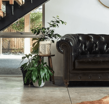 Oxford Chesterfield Aged Leather 3 Seater Sofa - Belon Black at Online8 Furniture Auckland NZ