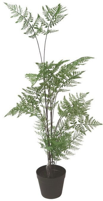 Potted Fern - Faux Plant at Online8 Furniture Auckland NZ