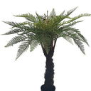 Potted Punga Fern 123cm - Faux Plant at Online8 Furniture Auckland NZ