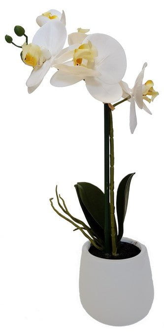 Real Touch Orchid 1 Spray at Online8 Furniture Auckland NZ