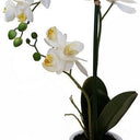 Real Touch Orchid 2 Spray at Online8 Furniture Auckland NZ