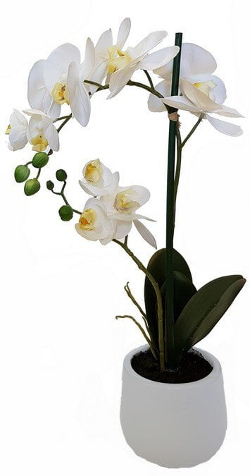 Real Touch Orchid 2 Spray at Online8 Furniture Auckland NZ