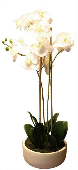 Real Touch Orchid 2 Spray - White With Caesarstone Pot at Online8 Furniture Auckland NZ