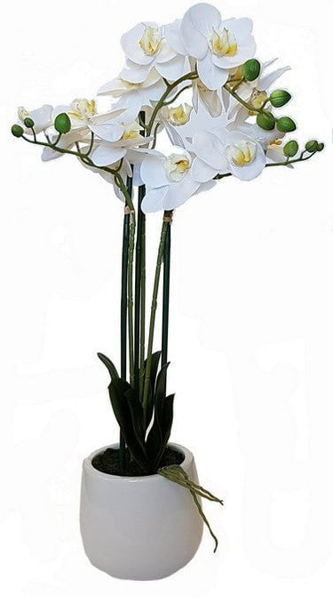 Real Touch Orchid 3 Spray at Online8 Furniture Auckland NZ