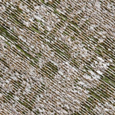 Russo Grunge Green Rug 200x290 at Online8 Furniture Auckland NZ