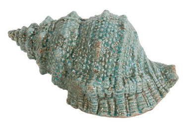 Seashell Accent at Online8 Furniture Auckland NZ