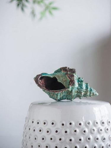 Seashell Accent at Online8 Furniture Auckland NZ